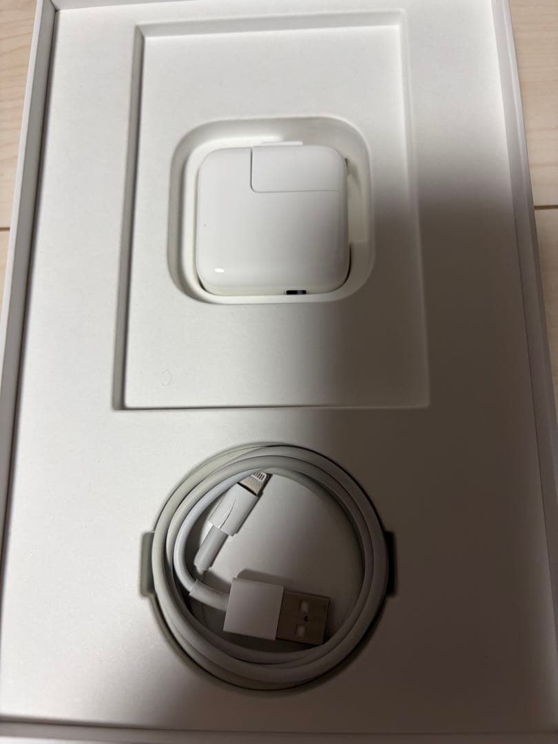 iPad mini シルバー Wi-Fi 256GB