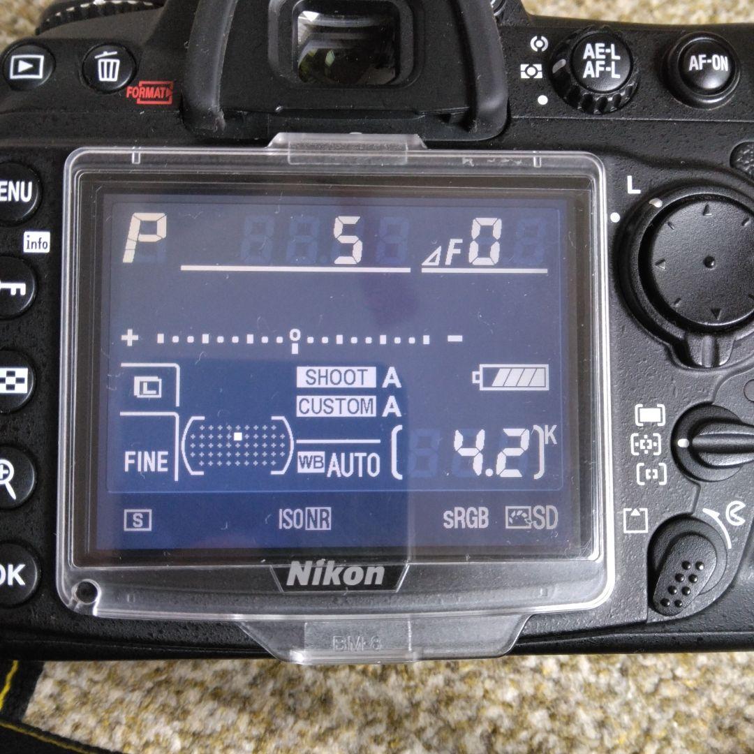 【ショット数約3000回】Nikon D300
