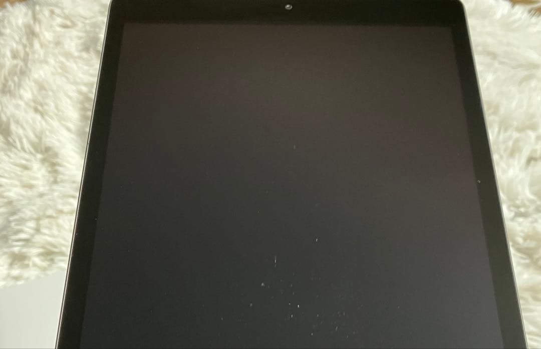 【早い者勝ち】iPad 第9世代 256GB 【すぐ発送】【付属品】