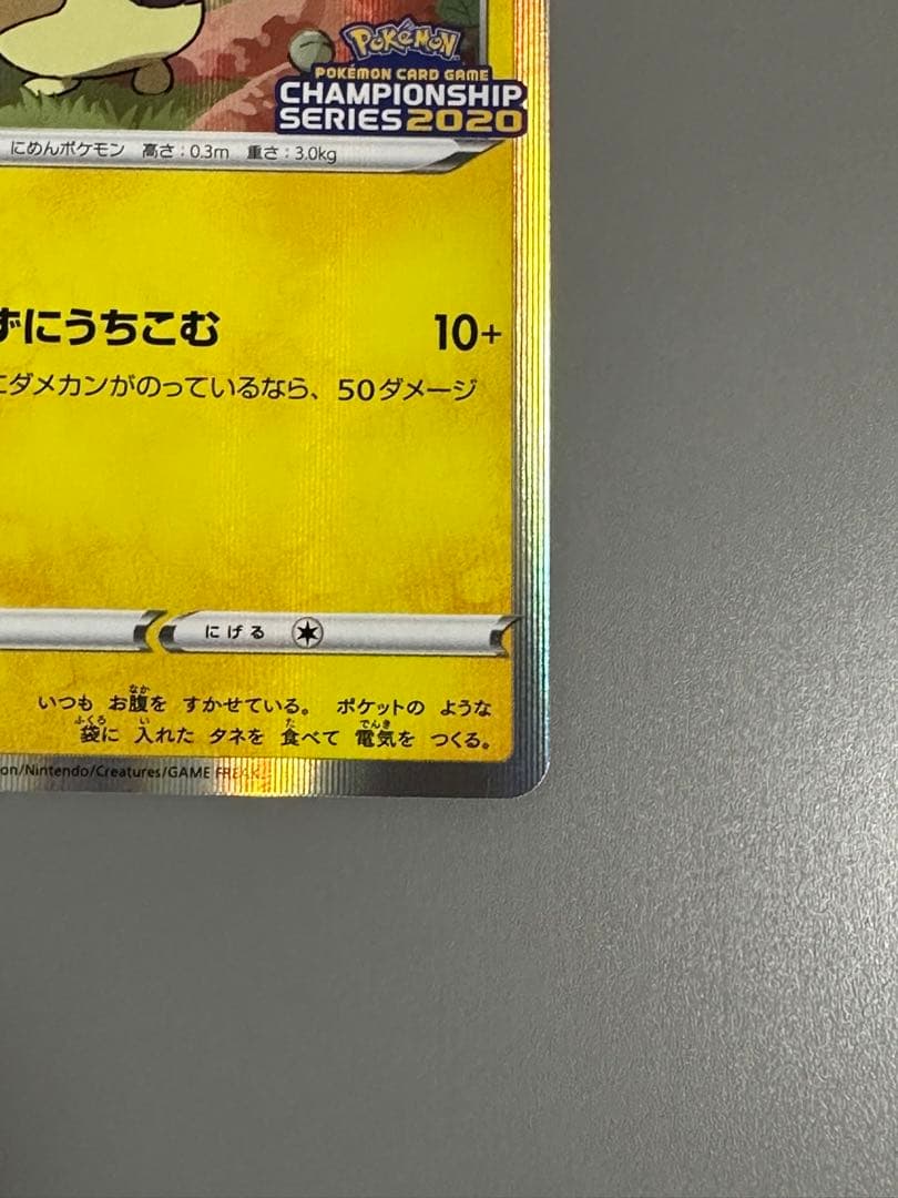 モルペコプロモ