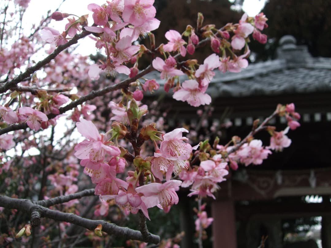 実写美⭕️【動作確認済】FUJIFILM　FinePix F60fd シルバー