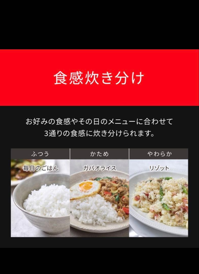 さくら　Panasonic SR-N210D 備長炭釜 炊飯器 5.5合