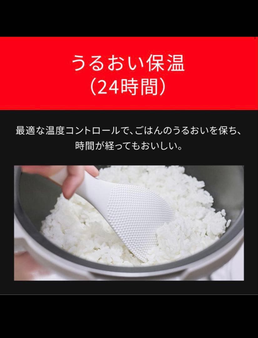 さくら　Panasonic SR-N210D 備長炭釜 炊飯器 5.5合