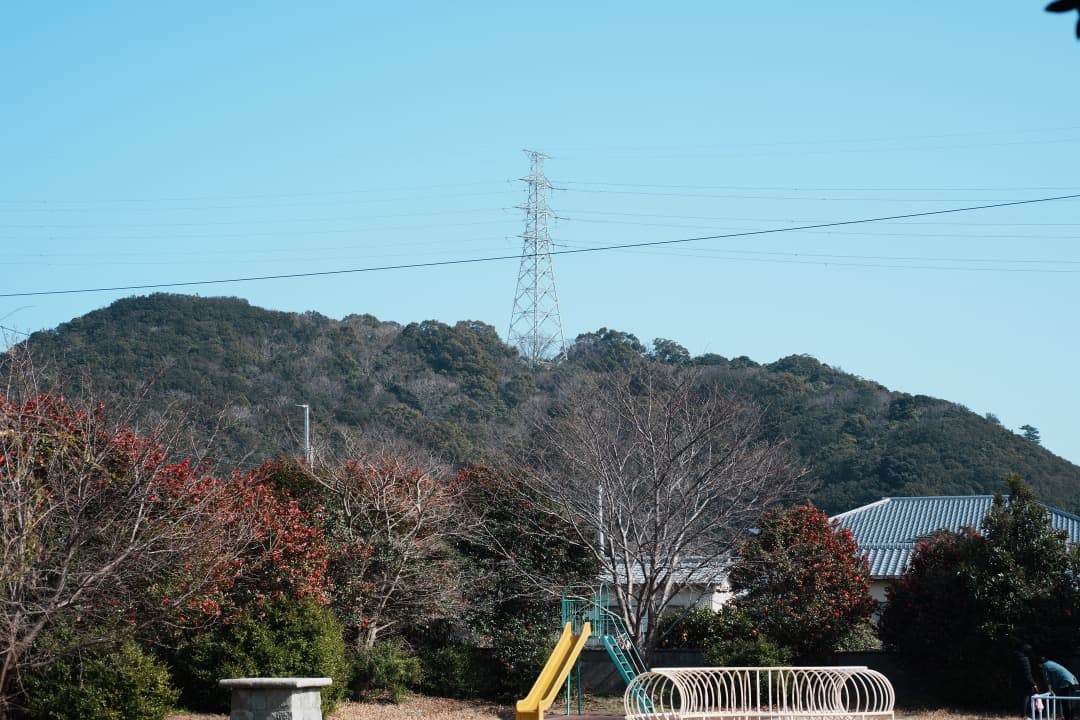 極美品 AF Ai Micor-Nikkor 60mm F2.8D 202