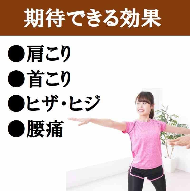 お風呂用　ゲルマニウム粒　300個　肩こり　プチシルマ　エレキバン　入浴剤2