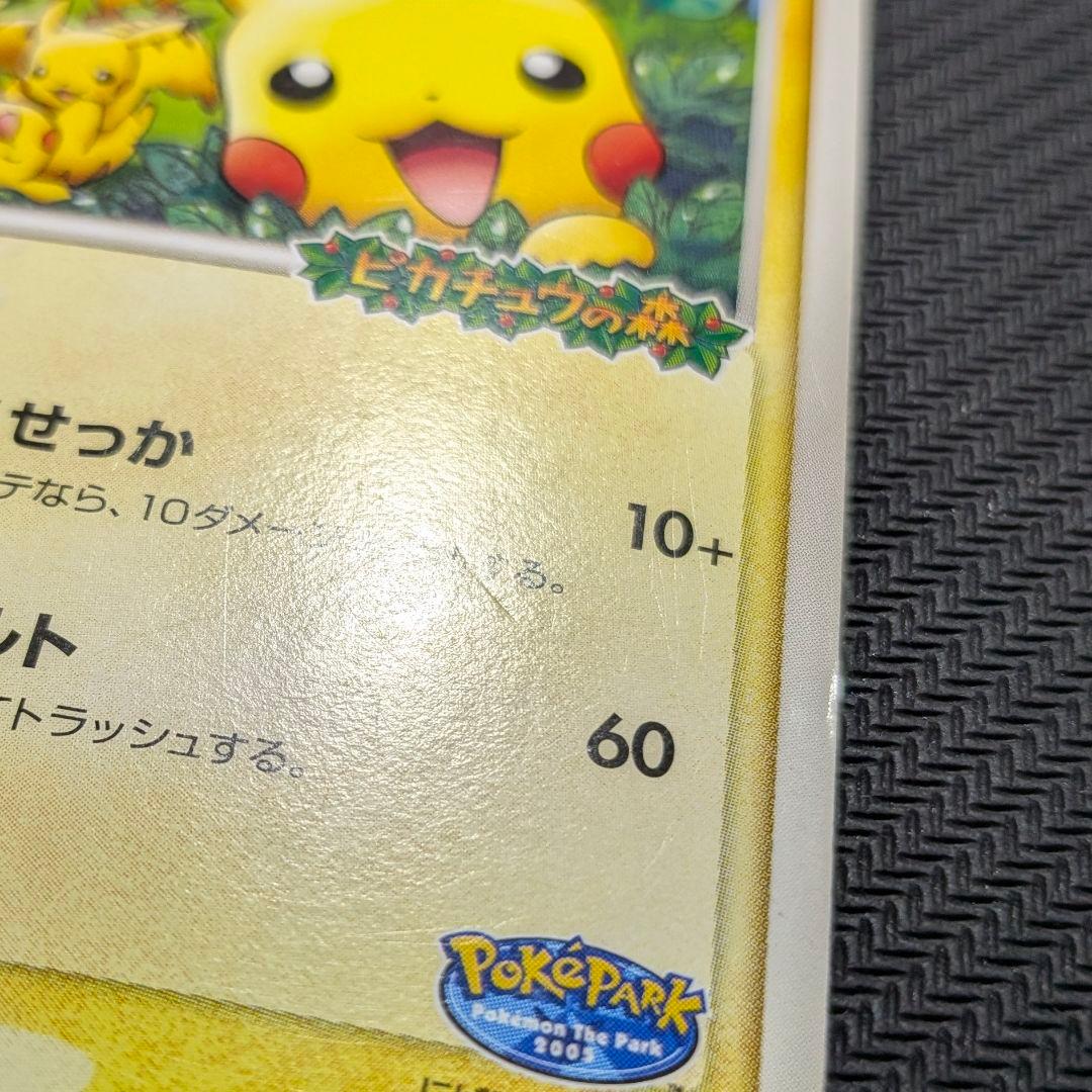 CHOKO専用！　ポケパークのピカチュウ