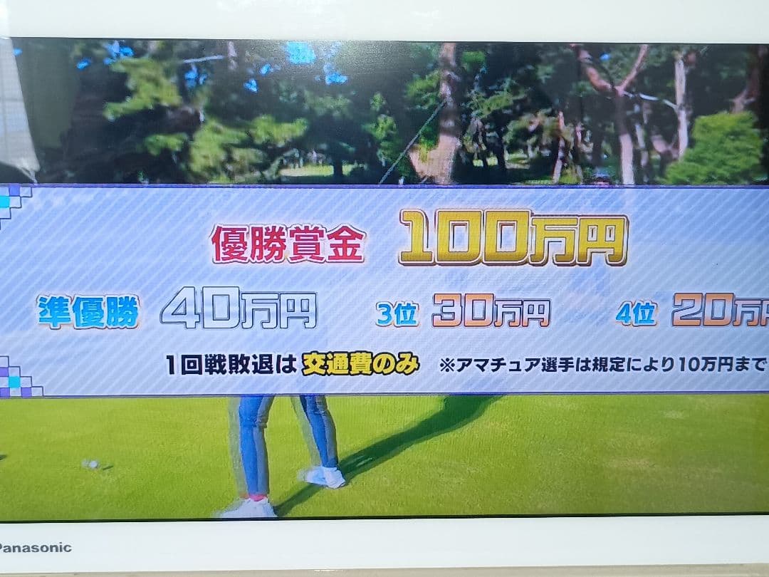 Panasonic プライベートビエラ UN-15T5D UN-T5S リモコン