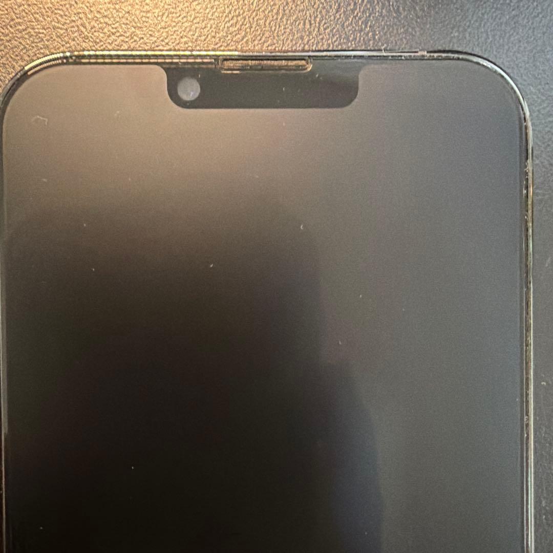 【美品】早い者勝ち！ Apple iPhone 13 Pro シルバー 本体