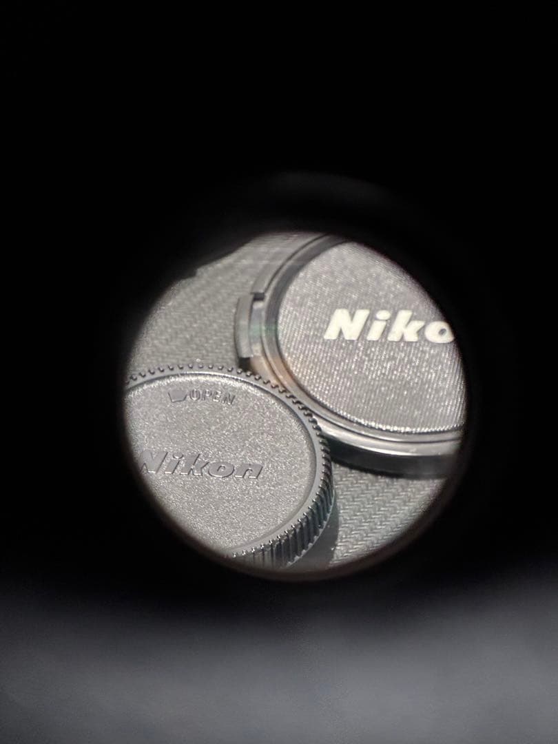 t*0様 Nikon Micro-NIKKOR 200mm f/4 レンズ　E