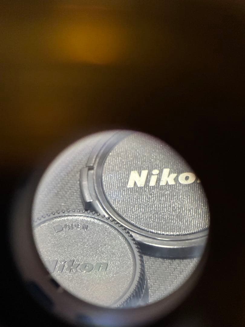 t*0様 Nikon Micro-NIKKOR 200mm f/4 レンズ　E