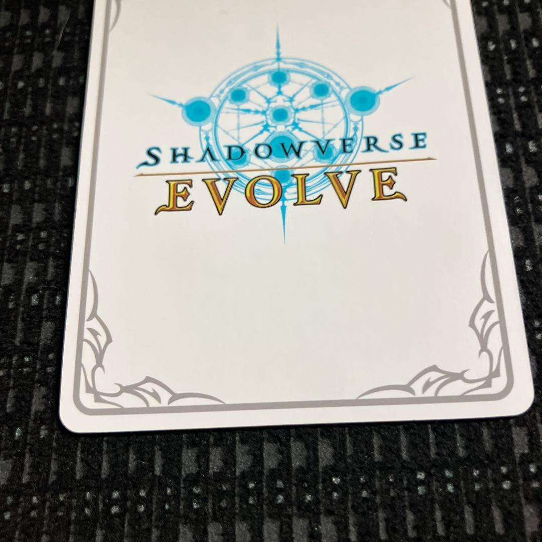【お値引き中】　シャドウバースエボルヴ　遥かなる絆・アン＆グレア リーダー LD