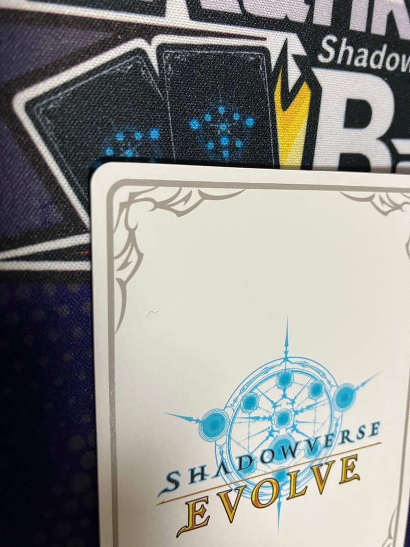 【お値引き中】　シャドウバースエボルヴ　遥かなる絆・アン＆グレア リーダー LD