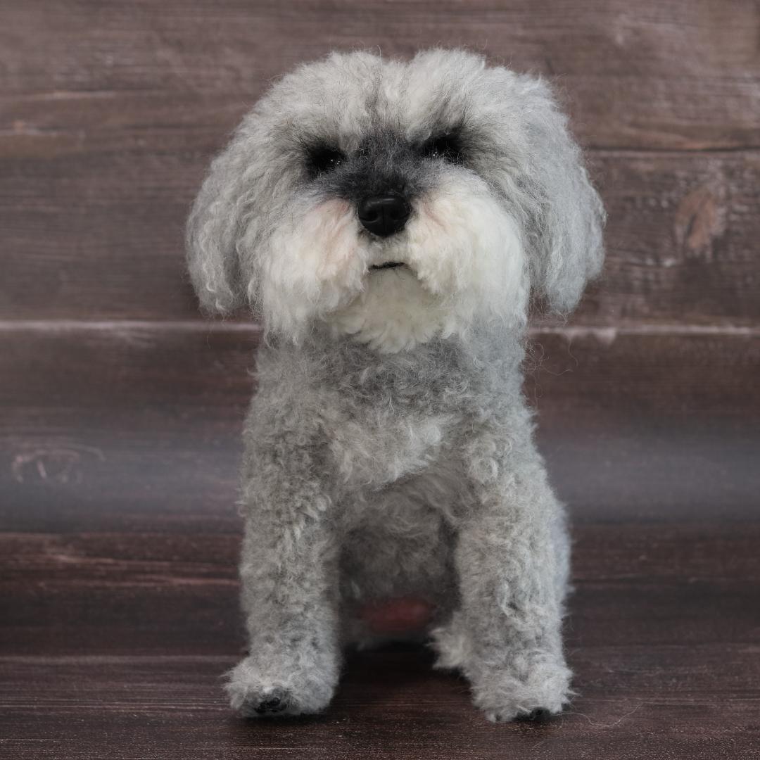 わんたさんさま専用　羊毛フェルト　犬　シュナウザー　Ｌサイズ　オーダー