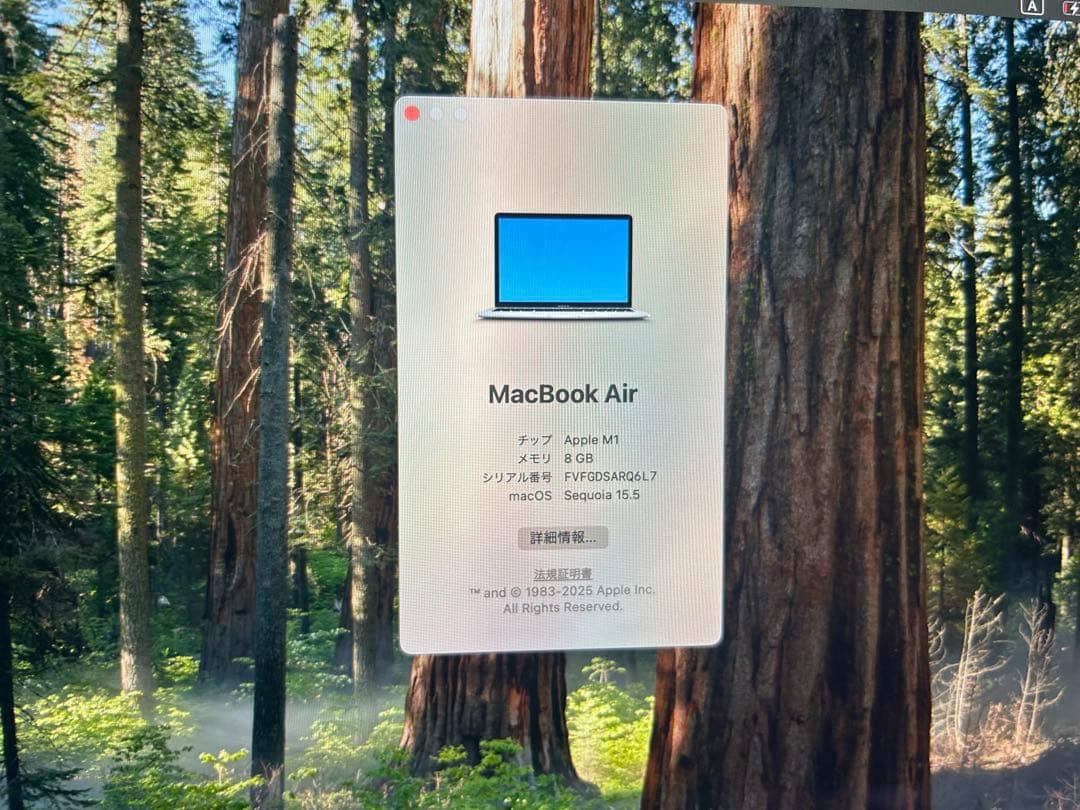 MacBook本体 Macbook Air (M1, 2020)