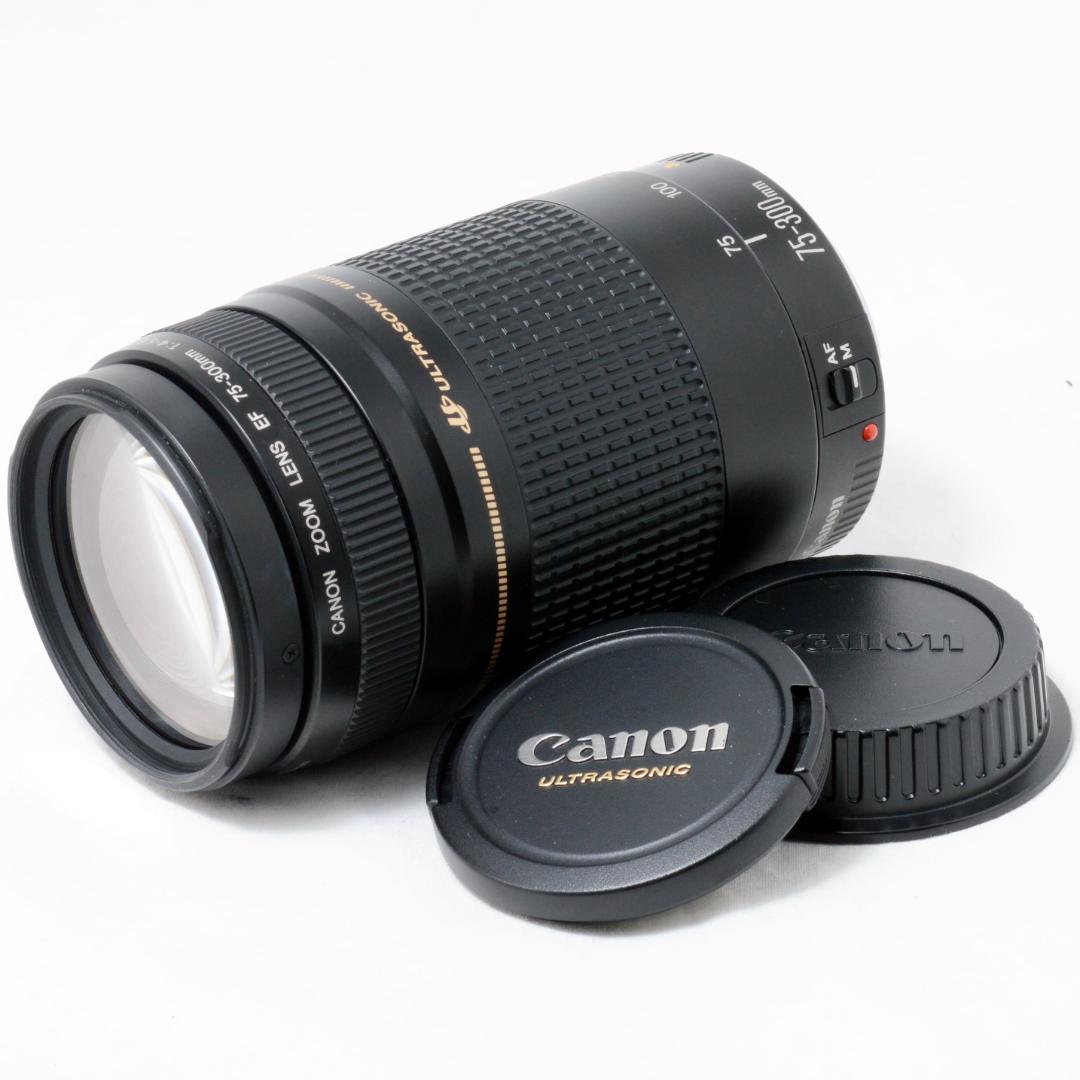 ⭐️実用品⭐️Canon EF 75-300mm F4-5.6 Ⅱ USM