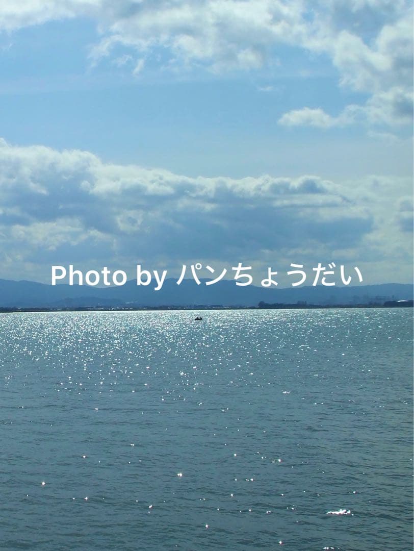 動作確認済み FUJIFILM FINEPIX A900 スマホ転送 5点セット