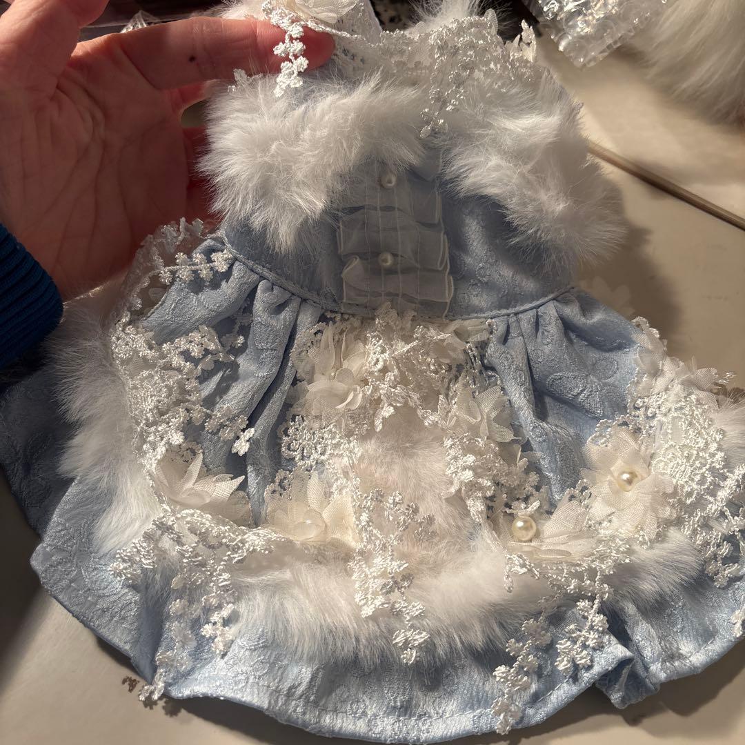 ネオ犬服　猫服　ハンドメイド　ワンピース　わんちゃん