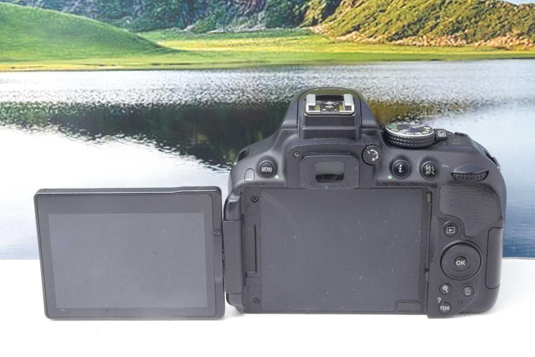【美品】Nikon D5300 WiFi機能付 動画撮影可能 初めての一眼レフ