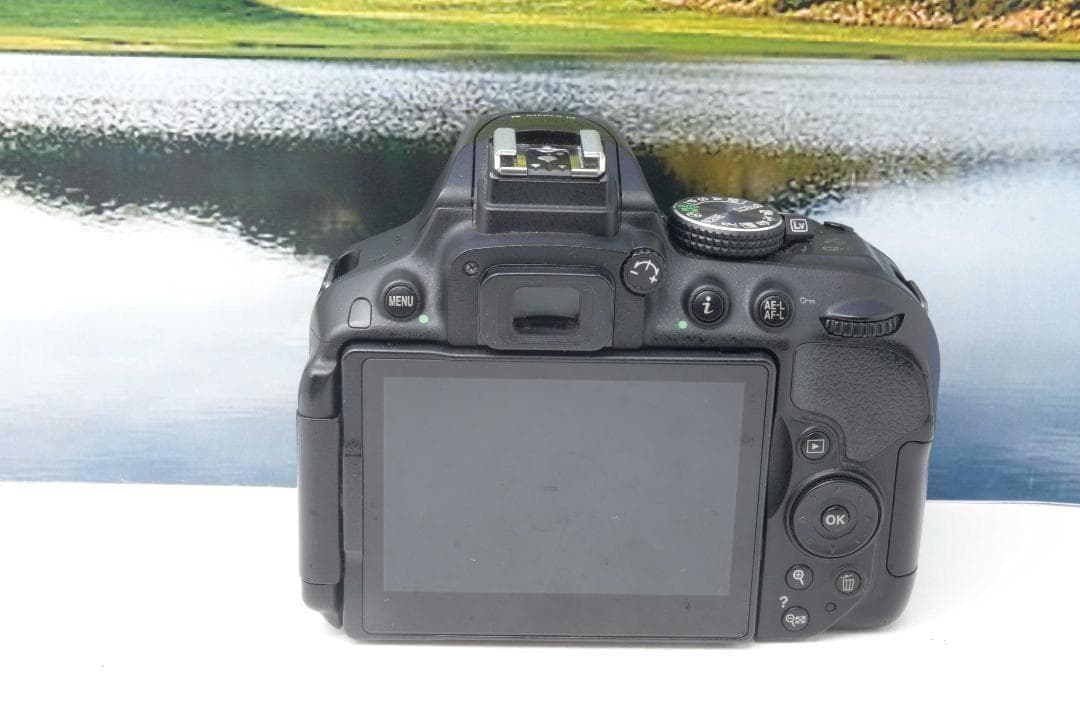 【美品】Nikon D5300 WiFi機能付 動画撮影可能 初めての一眼レフ