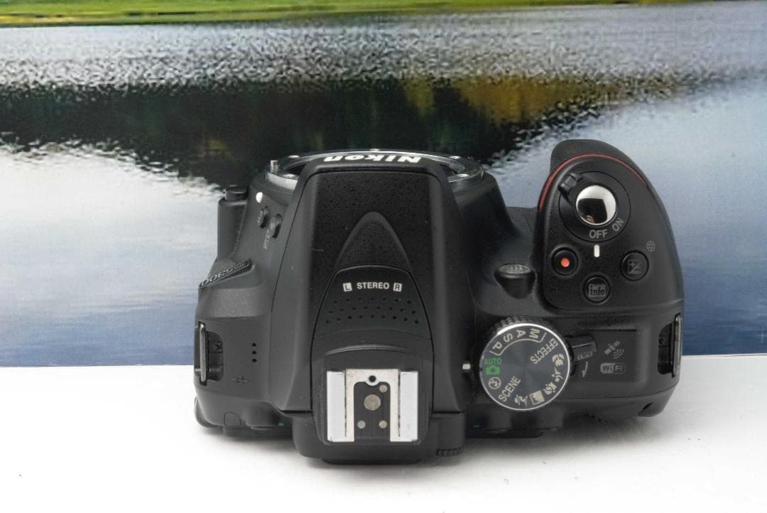 【美品】Nikon D5300 WiFi機能付 動画撮影可能 初めての一眼レフ