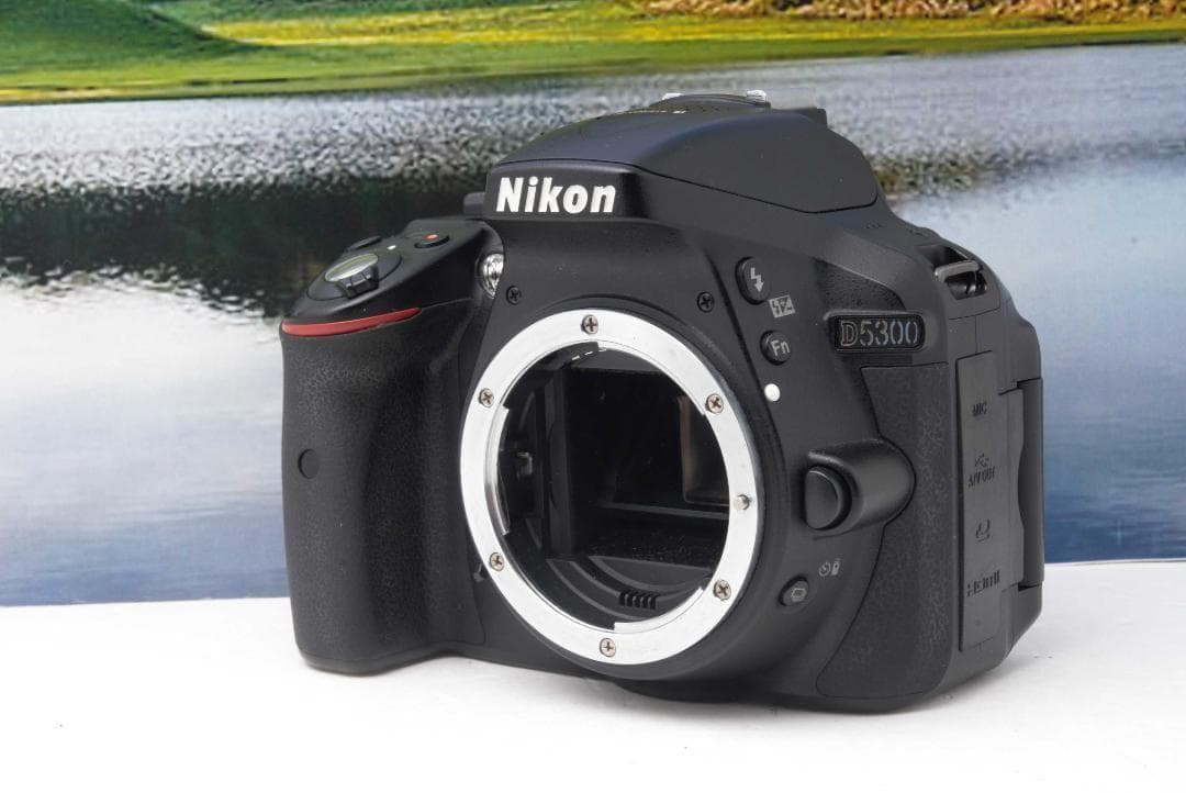 【美品】Nikon D5300 WiFi機能付 動画撮影可能 初めての一眼レフ