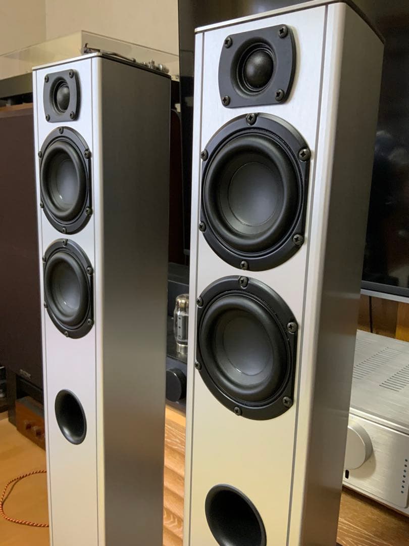 piega ts5 完動美品　定価316800円