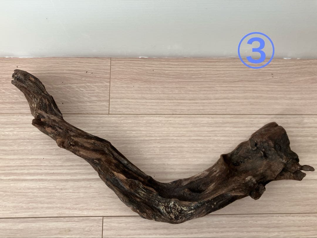 大型流木 3本セット