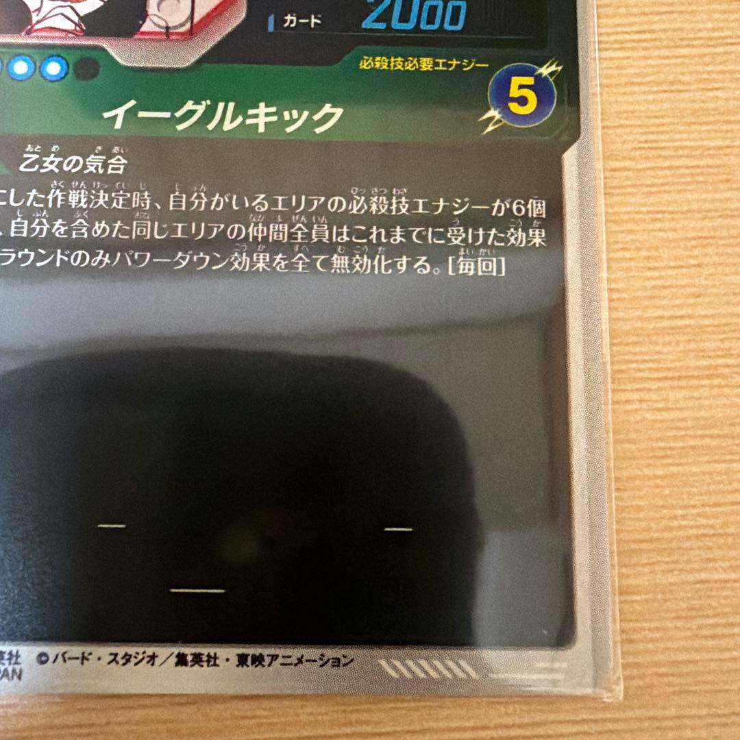 ドラゴンボール ビーデル　パラレル　APT 024