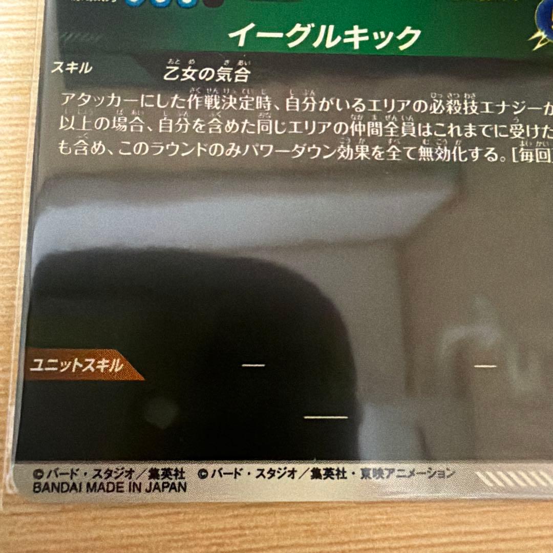 ドラゴンボール ビーデル　パラレル　APT 024