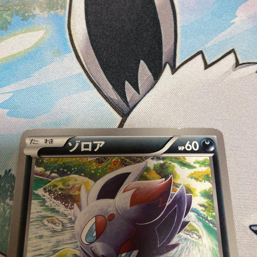 ゾロア ユニクロ PROMO BW-Pプロモカード 021/BW-P