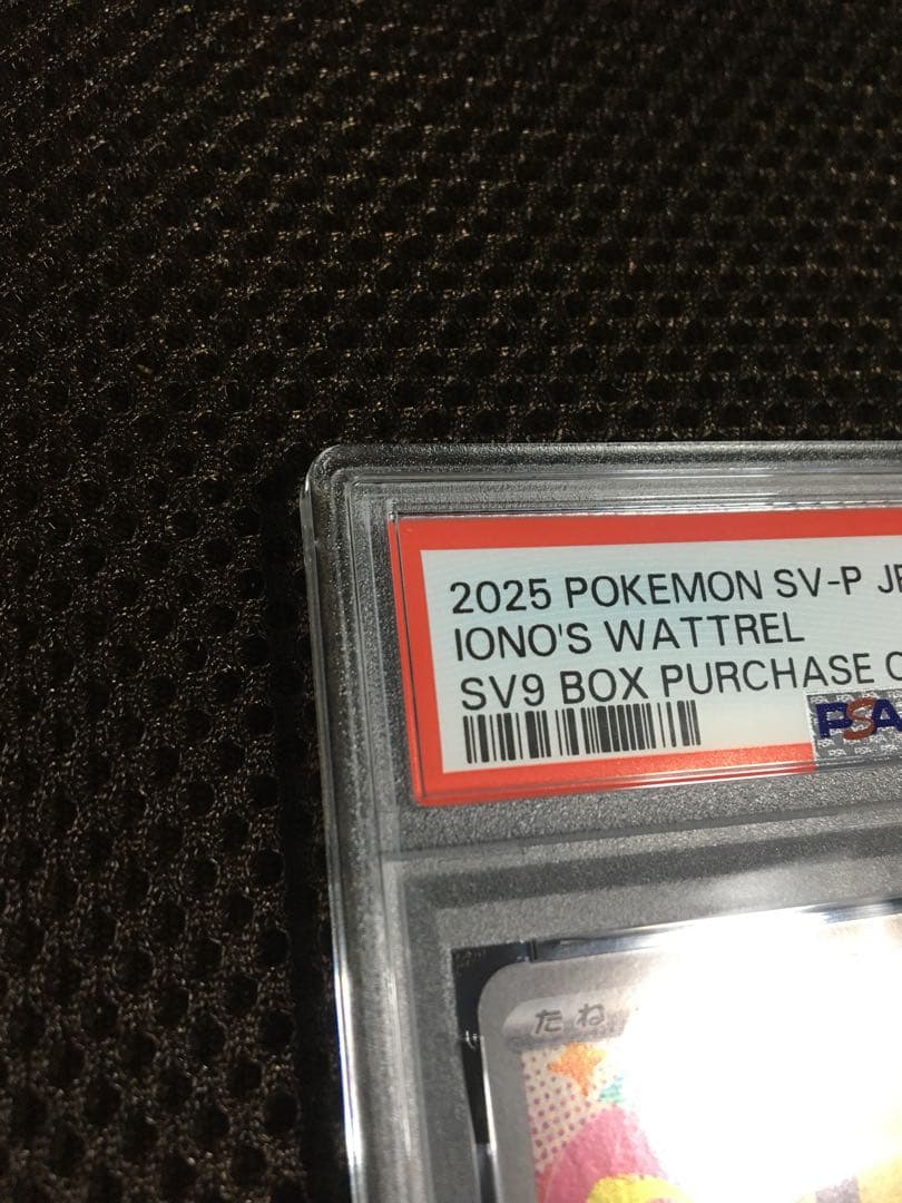 フォローで割引！ ポケモンカード PSA10 ナンジャモのカイデン PROMO