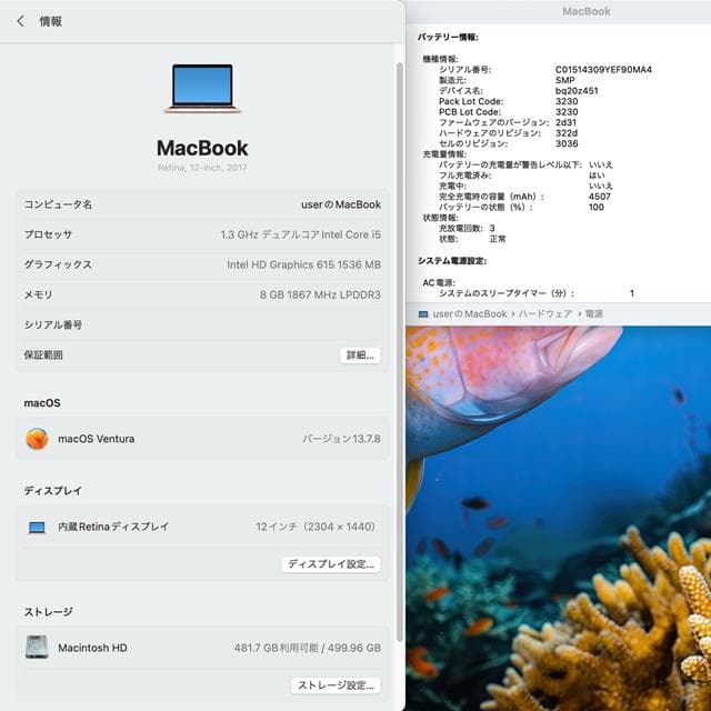 【美品】MacBook 2017 i5/8GB/512GB_GLD