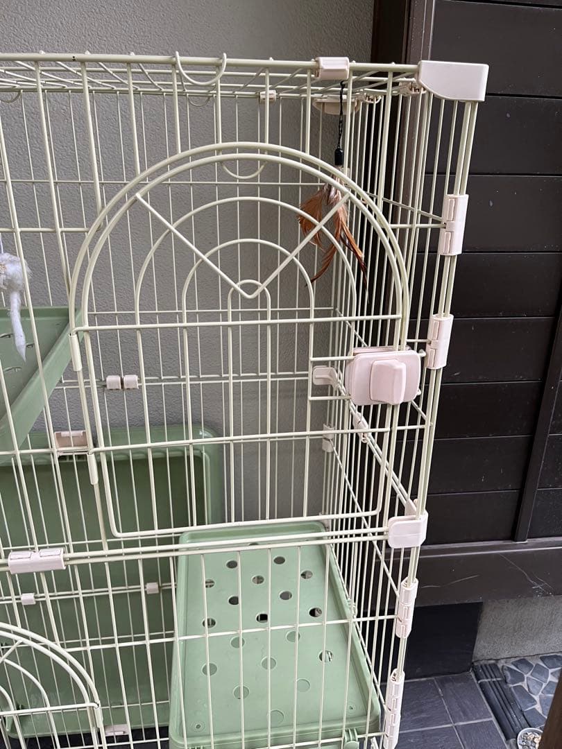 3段 棚板 猫 ケージ キャット ネコハウス 多段 ペット グリーン