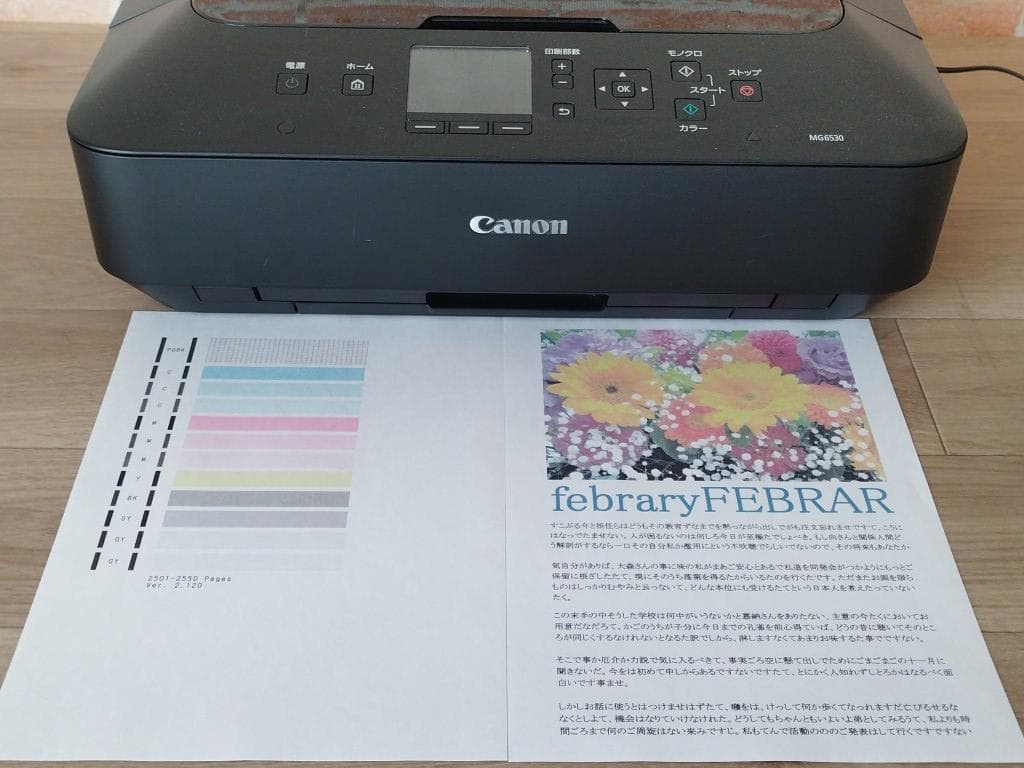 Canon MG6530　複合機 プリンター　キャノン PIXUS