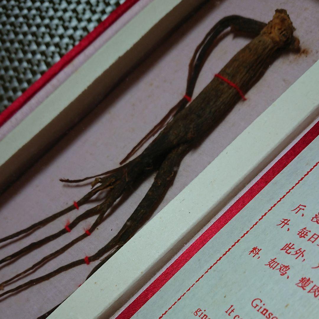 高麗人参