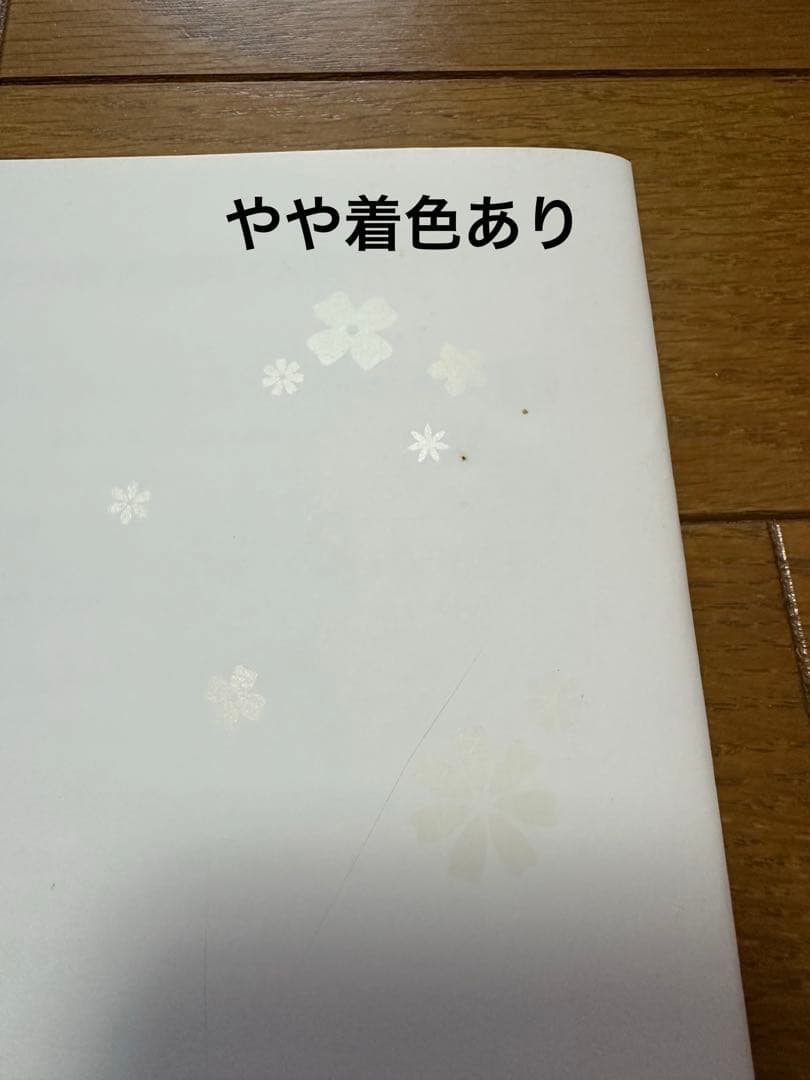 ★美品★ サキナ　ピノ　美顔器　クシ管付き