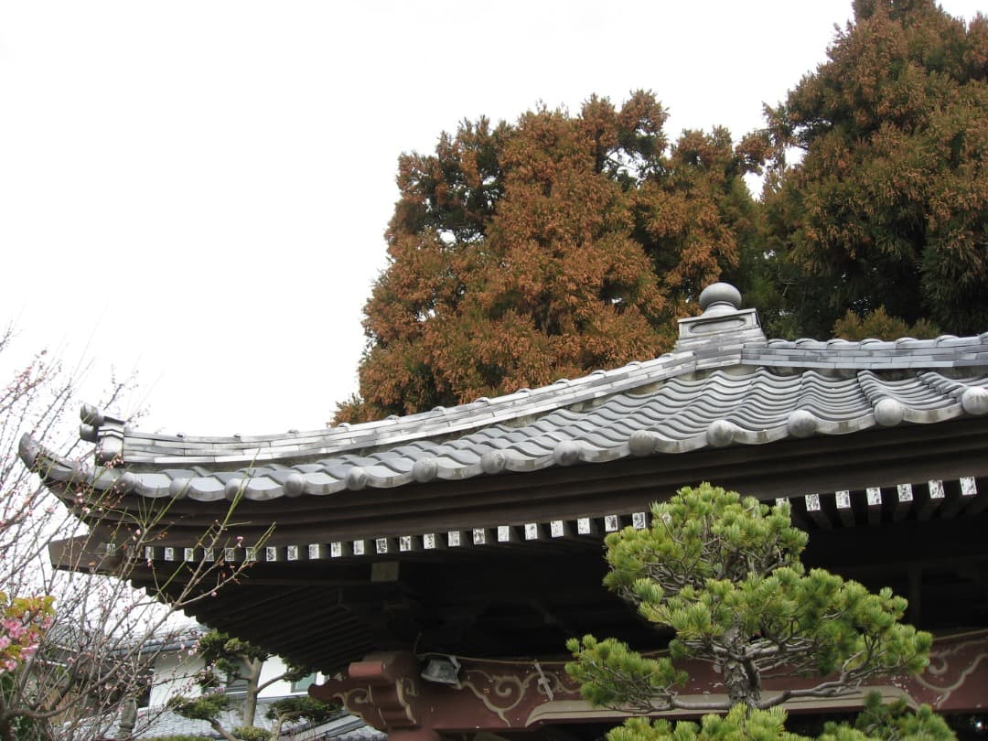 実写良⭕️【動作確認済】Canon IXY DIGITAL 800IS