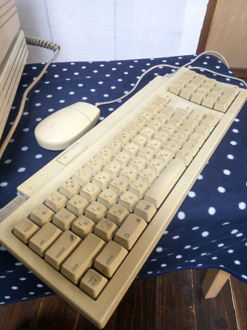 Apple RGB Monitor ＋ Macintosh LCⅢ