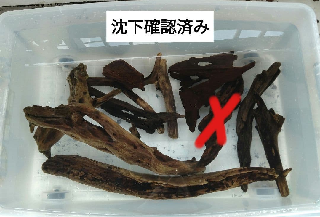 天然流木9個セット