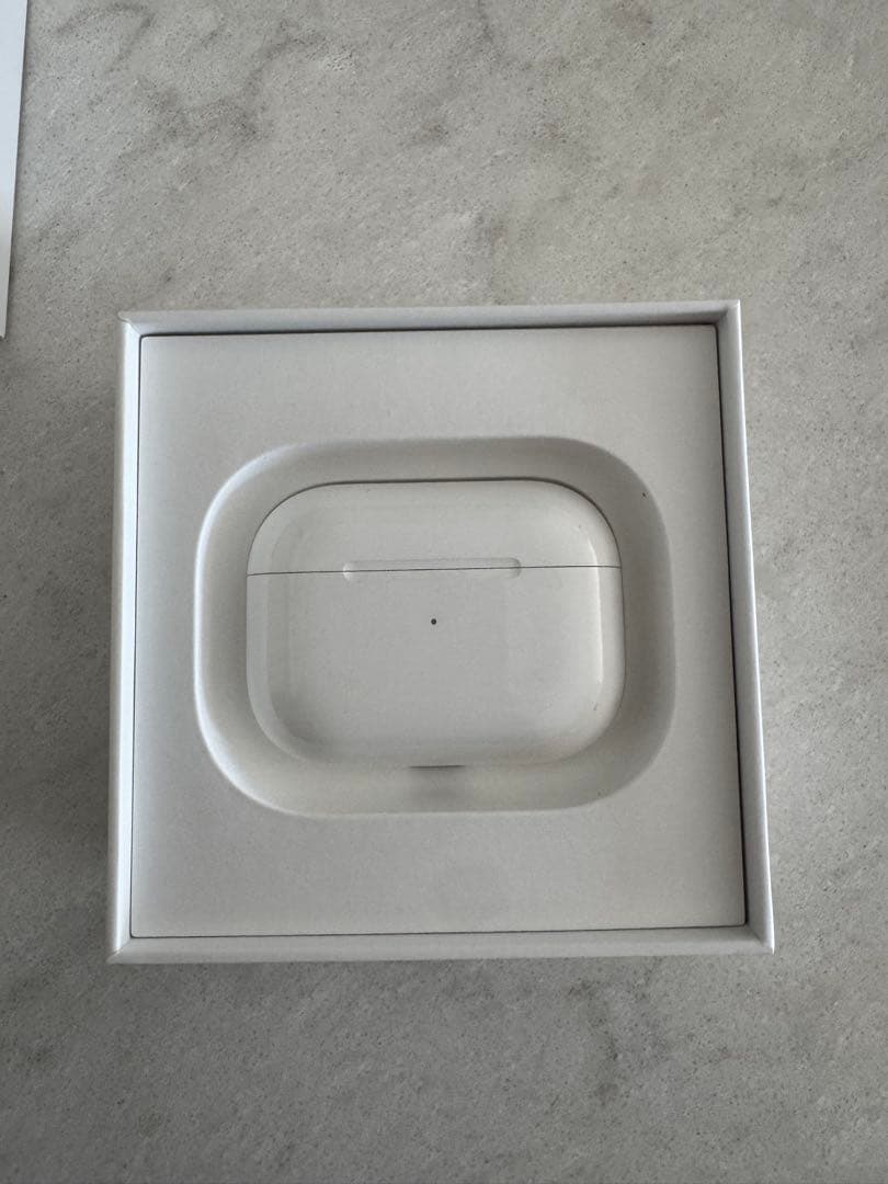 Apple AirPods Pro（第1世代）A2190 本体＋ケース