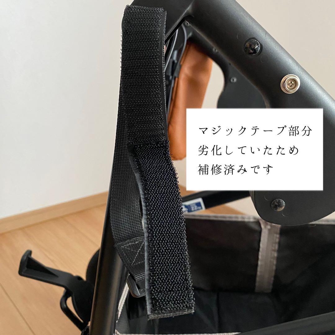 【美品】エアバギー ブラック AIRBUGGY フレームのみ　ペットカートにも