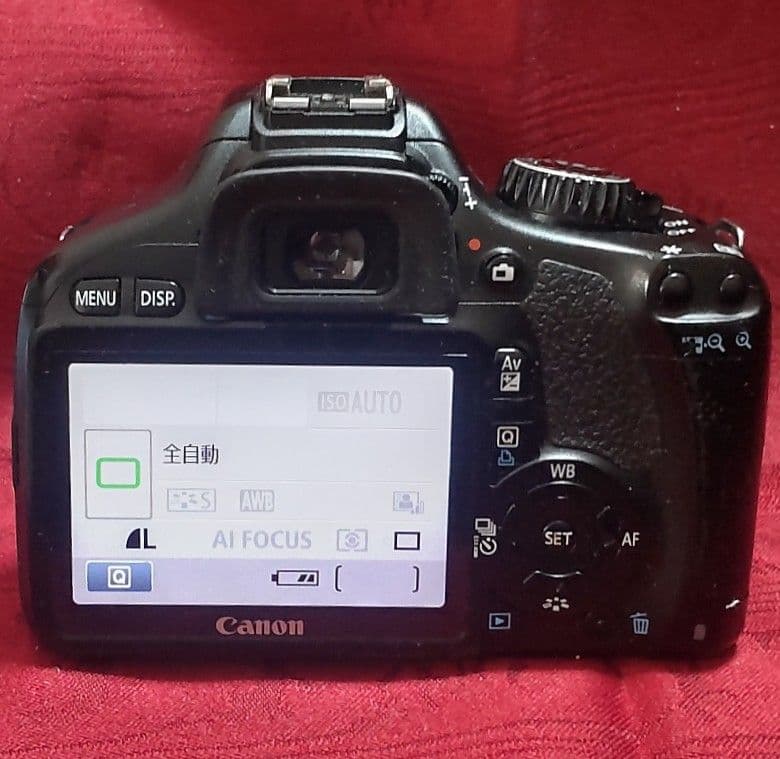 Canon EOS X4 デジタル一眼レフカメラ＋標準ズームレンズ＜動作確認済＞