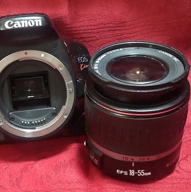 Canon EOS X4 デジタル一眼レフカメラ＋標準ズームレンズ＜動作確認済＞
