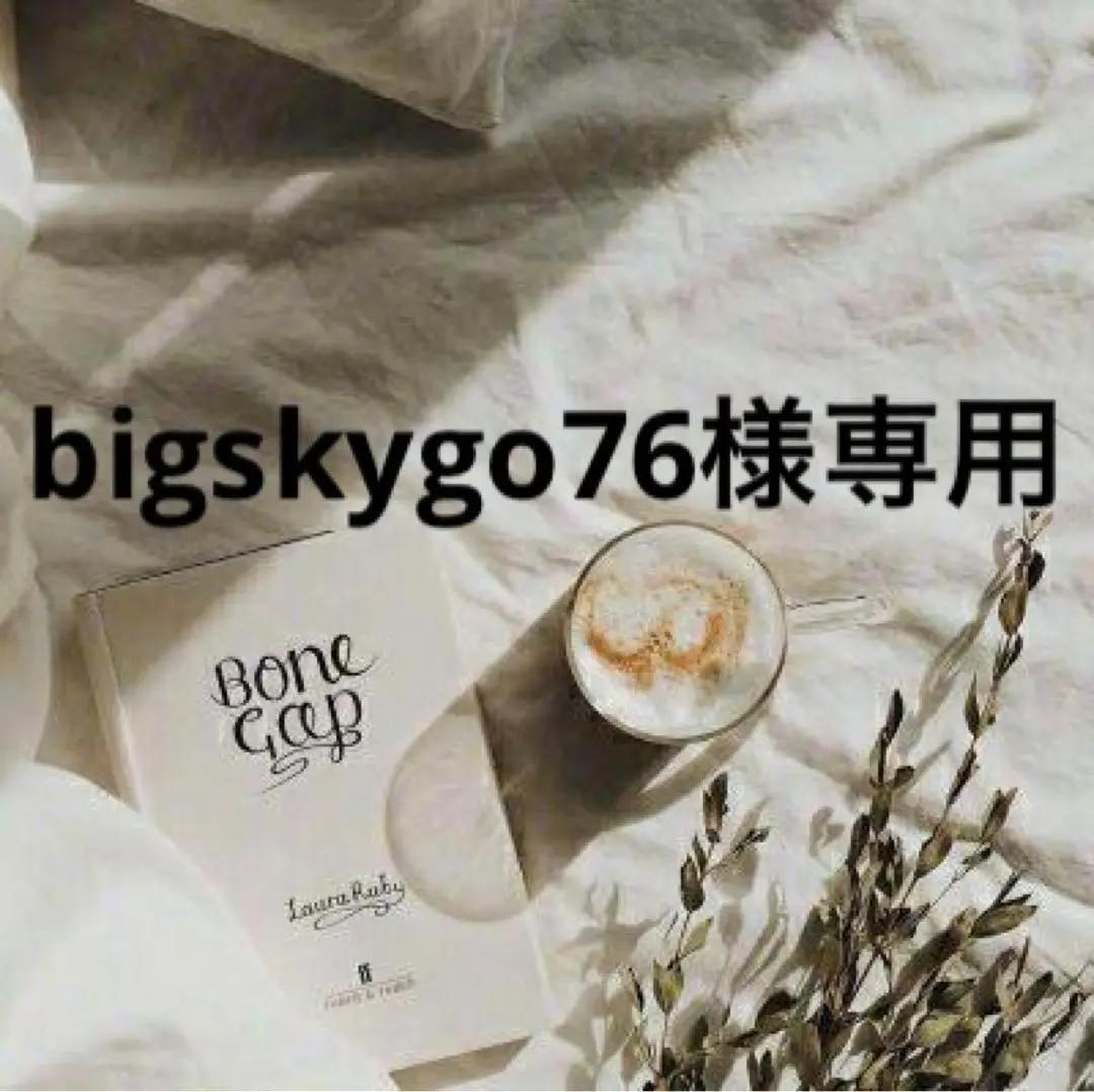 bigskygo76　0227