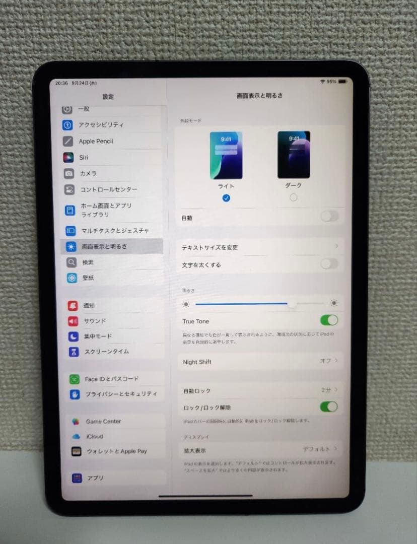 iPad Pro 11 第1世代64GB Wi-Fi Cellular ケース込