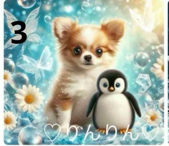 ★オーダーページ★ハンカチ　ペンギン　チワワ柄5/17