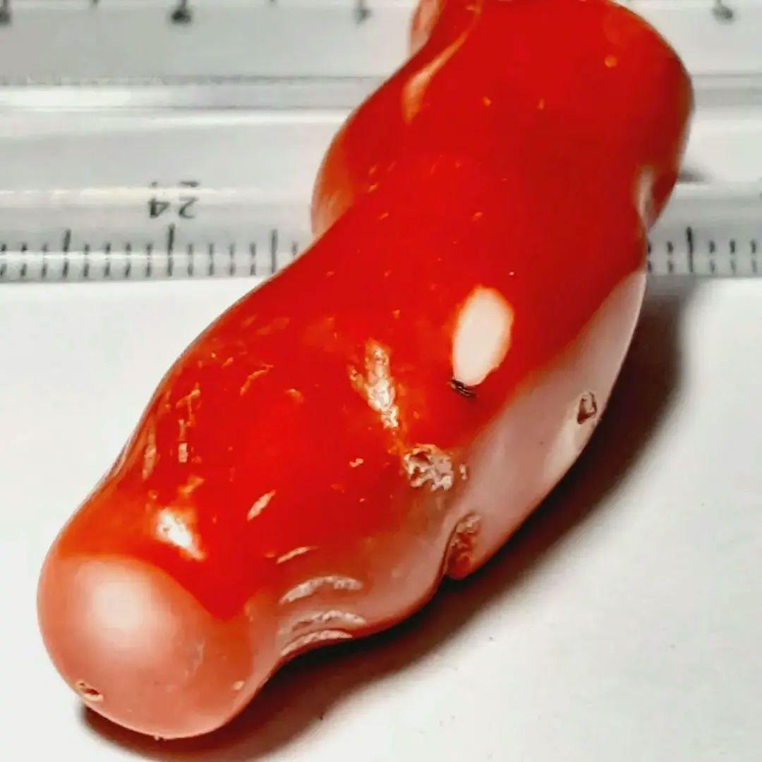 8428　血赤サンゴ　大粒65ct　穴貫通一つ　トップ　天然珊瑚