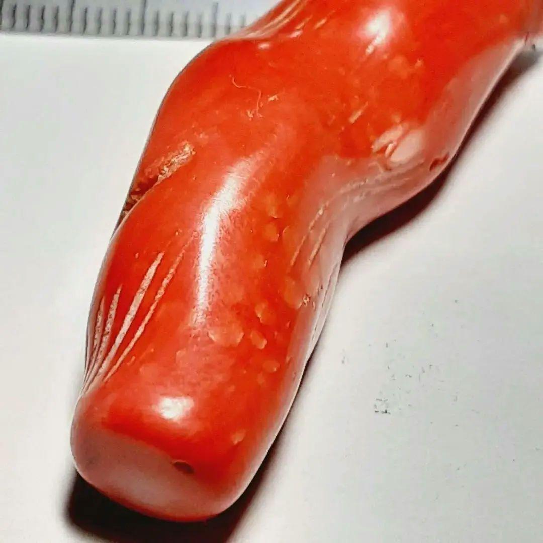 8428　血赤サンゴ　大粒65ct　穴貫通一つ　トップ　天然珊瑚