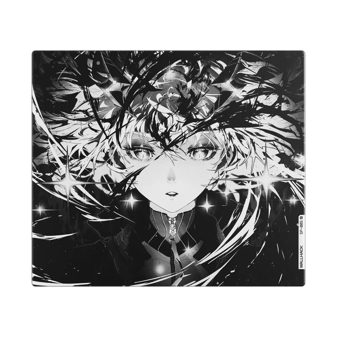 限定版 WALLHACK SP-005 AWAKENING SORA