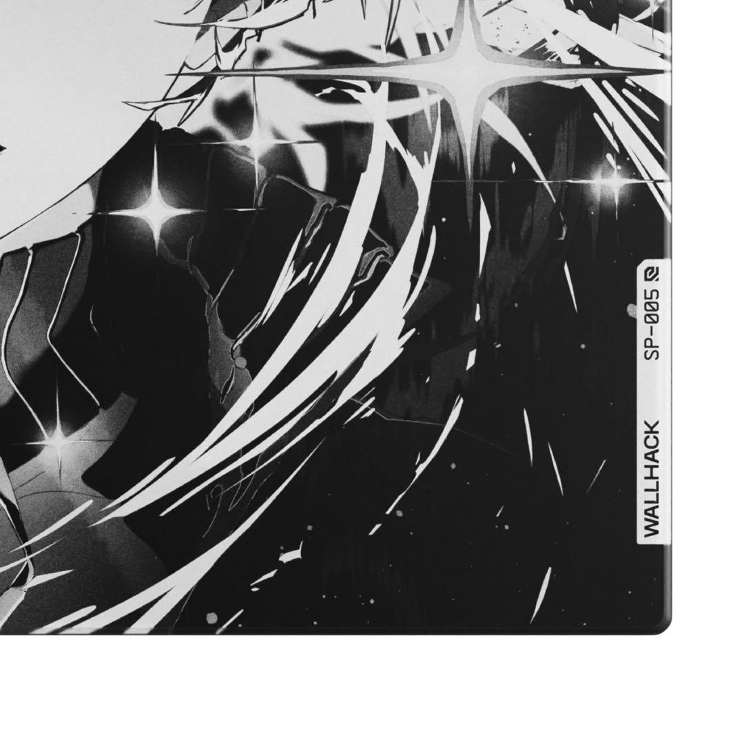 限定版 WALLHACK SP-005 AWAKENING SORA